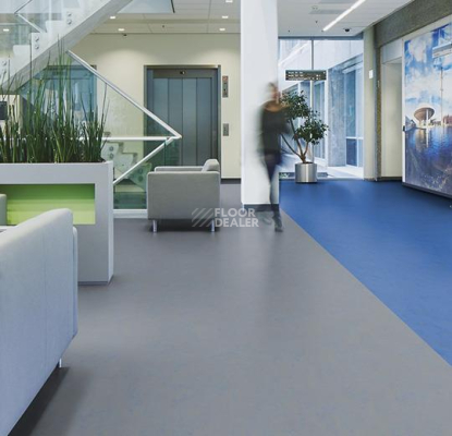 Forbo Marmoleum Decibel on Order 373435 blue shimmer фото 3 | FLOORDEALER
